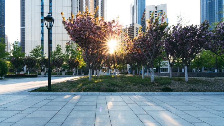 thumbnail of the content